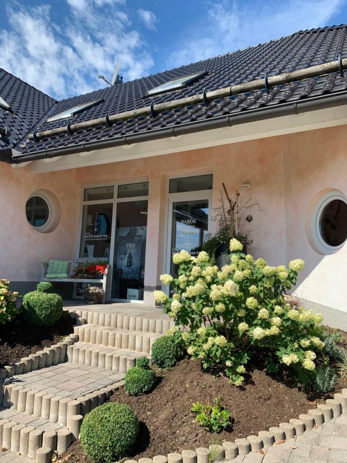 Lifestyle Apartment Kurort Steinbach-Hallenberg Exterior photo